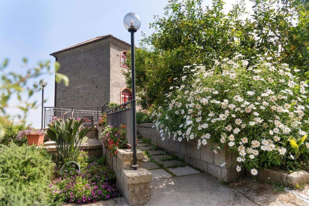 Sorrentovibes - Sea View Rooftop With Jacuzzi & Garden * Sorrente