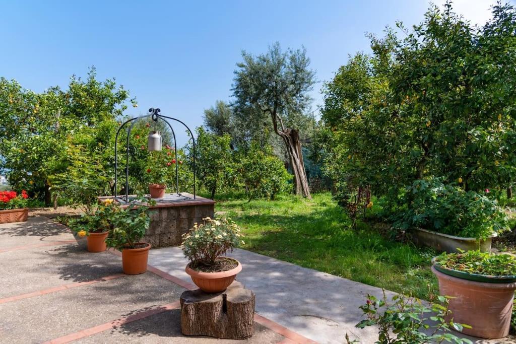 Sorrentovibes - Sea View Rooftop With Jacuzzi & Garden Hébergement de vacances