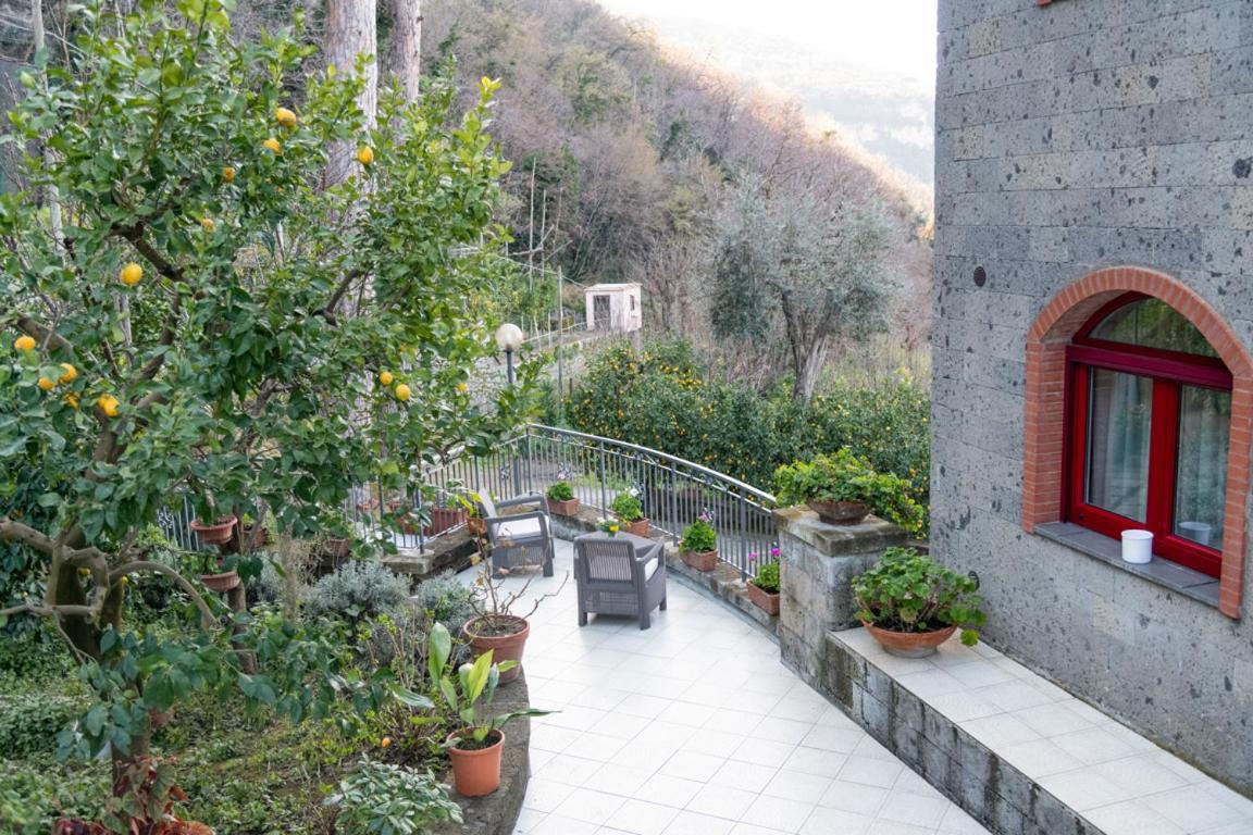 Hébergement de vacances Sorrentovibes - Sea View Rooftop With Jacuzzi & Garden *